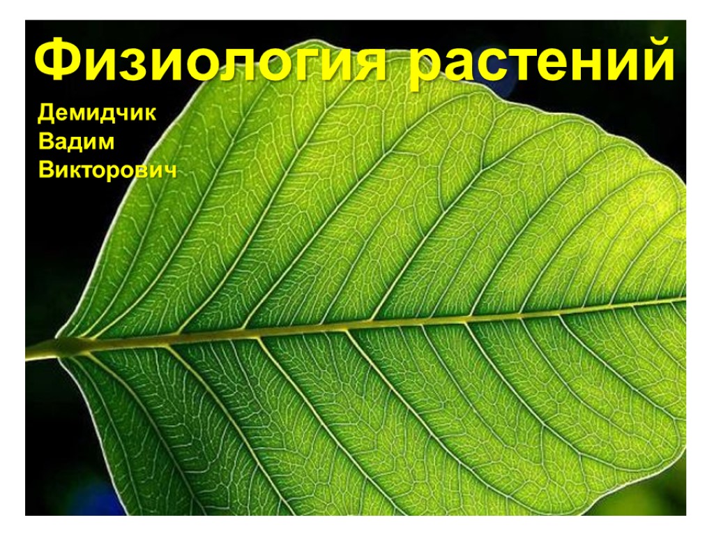 Физиология растений Демидчик Вадим Викторович